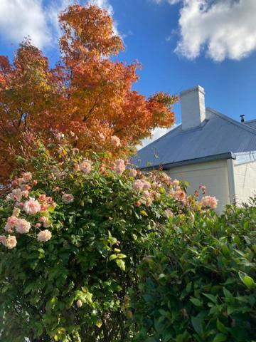 Orford'S Sanda House B&B 외부 사진